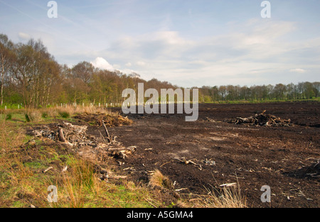 Ansichten von Lindow Moos wo Pete Marsh Lindow Mann entdeckt wurde Stockfoto