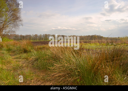 Ansichten von Lindow Moos wo Pete Marsh Lindow Mann entdeckt wurde Stockfoto