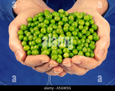 MAN HOLDING ERBSEN Stockfoto