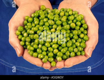 MAN HOLDING ERBSEN Stockfoto