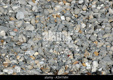 Hautot Sur Mer Pourville Strand der Normandie Frankreich Stockfoto