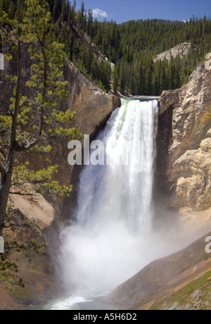 Lower Falls der Grand Canyon Yellowstone NP Wyoming Stockfoto