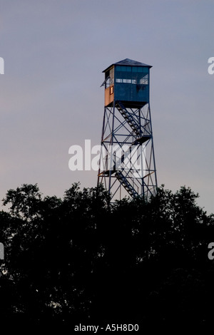 Feuer-Uhr Turmstruktur über Wald in Wildwood Florida USA Stockfoto