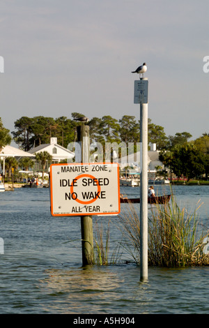 Bootfahren No Wake Zone zum Schutz der Seekühe im Kanal an Crystal River, Florida Stockfoto