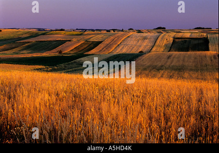 Hügelige malerische Landschaft, Scenic, Polen Land, Bio-Bauernhof, polnische Landschaft gemustert Stockfoto