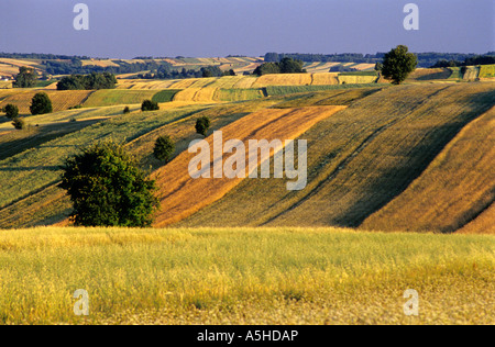 Hügelige malerische Landschaft, Scenic, Polen Land, Bio-Bauernhof, polnische Landschaft gemustert Stockfoto