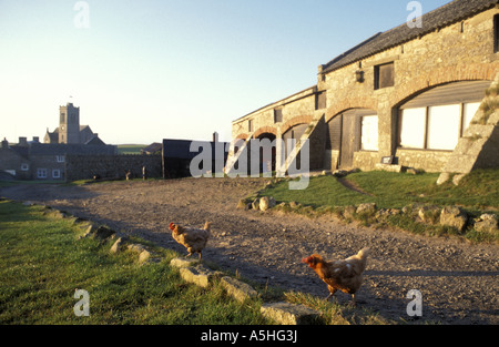 Das Dorf auf Lundy Island mit St Helens Kirche Devon England Stockfoto