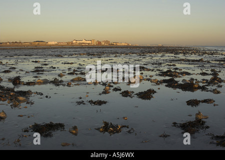 Ebbe am Goring auf dem Seeweg, West Sussex an der Südküste von England. Stockfoto