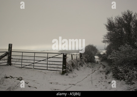 Januar-Schnee kommt zu den South Downs in West Sussex. Stockfoto