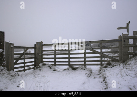 Januar-Schnee kommt zu den South Downs in West Sussex. Stockfoto