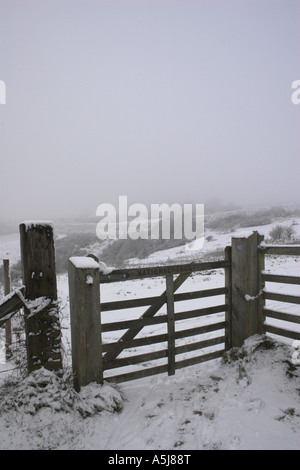 Januar-Schnee kommt zu den South Downs in West Sussex. Stockfoto