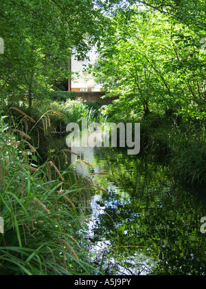 Der Hogsmill River an der oberen Mühle, Ewell Dorf, Surrey, England, UK Stockfoto