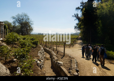 Concha y Toro Weingut Weingut im Maipo-Tal-Zentral-Chile Stockfoto