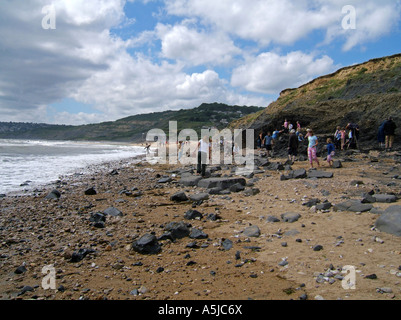 Fossilen Jäger auf Charmouth Strand, Dorset, England, UK Stockfoto