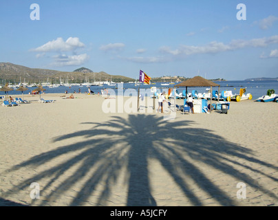 Der Strand von Puerto Pollenca, Mallorca, Spanien. Stockfoto
