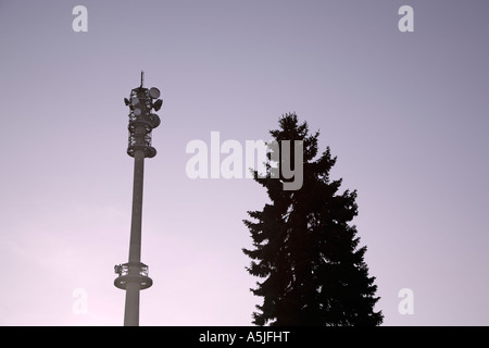 Silhouette einen Funkturm und einem Baum gegen den klaren Himmel Antenne ausgestrahlt Telekommunikation Stockfoto