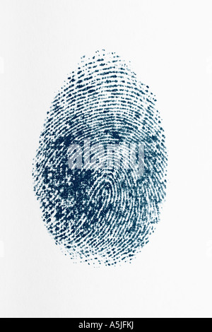 Fingerabdruck entnommen dem menschlichen Daumen auf weißem Hintergrund Stockfoto