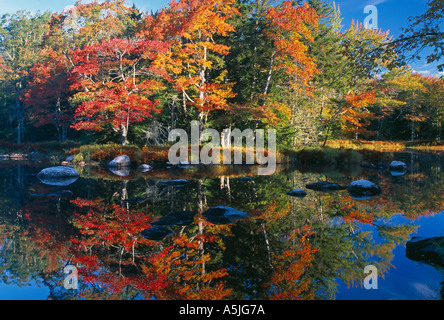 Herbstfärbung säumen die Ufer des Mersey River nr Kejimkujik Nationalpark Nova Scotia Kanada Stockfoto