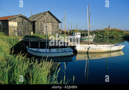 Oléron Insel. Charente Maritime. Frankreich Stockfoto