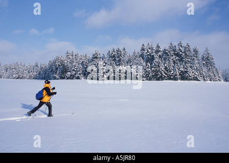 Langlaufen in zweiten Connecticut Lake nördlichen Wald Winter Sport Pittsburg NH Stockfoto