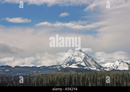 Der schneebedeckte Gipfel des North Sister Vulkan in der Oregon Cascade Range erhebt sich über einem dichten immergrünen Wald unter einem wolkenblauen Himmel. Stockfoto