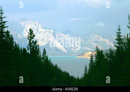 Horizontale Abraham Lake David Thompson Land Kanada Stockfoto