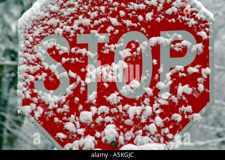 Stop-Schild in einem Schneesturm im Schnee bedeckt. Stockfoto