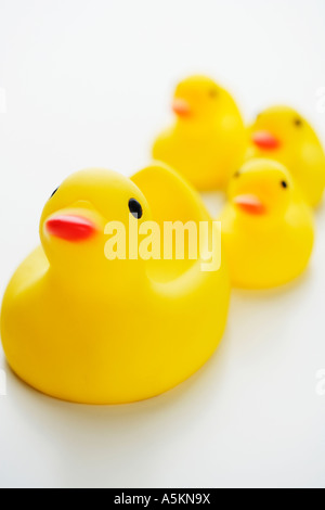 Studioaufnahme von Ente Gummitiere Stockfoto