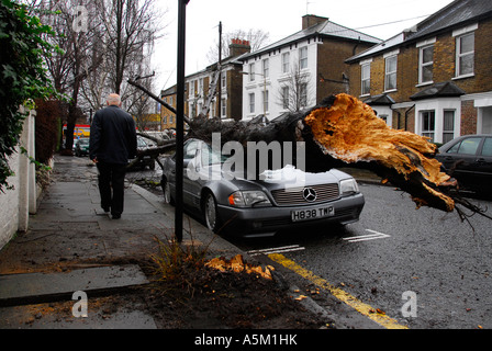 Gefallen Baum auf einem Mercedes-Auto in Kew West London A Opfer von starken Winden, die das Vereinigte Königreich am 18. Januar 2007 verwüstete Stockfoto