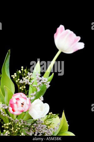 Zusammenfassung der Blumenanordnung gegen Schwarz Stockfoto