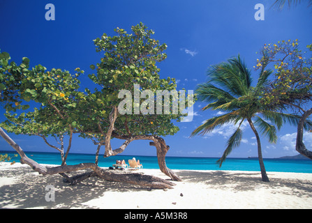 Grenada Strand älteres paar entspannende am Grand Anse Strand in Liegestühlen umgeben von Seagrape und Palmen Bäume Farbe Stockfoto