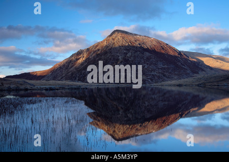 Stift-yr spiegelt sich Ole Wen in Llyn Idwal Snowdonia National Park Gwynedd Wales Stockfoto