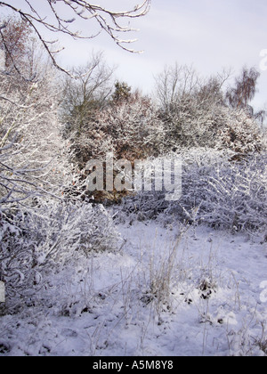 Schnee in England Parkhall Landschaft Park, Stoke-On-Trent, Staffordshire. Stockfoto