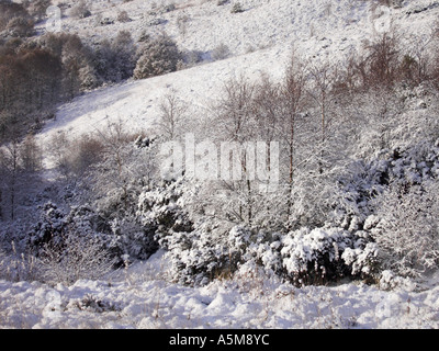 Schnee auf Parkhall Land-Park, Stoke-On-Trent, Staffordshire. Stockfoto