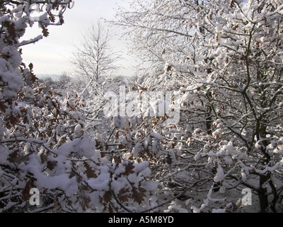 Morgen Schnee auf Parkhall Land-Park, Stoke-On-Trent, Staffordshire. Stockfoto