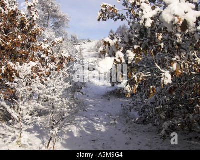 Morgen Schnee auf Parkhall Land-Park, Stoke-On-Trent, Staffordshire. Stockfoto