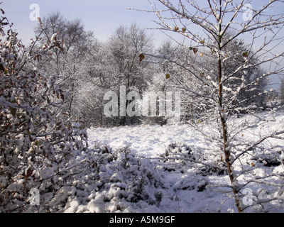 Morgen Schnee auf Parkhall Land-Park, Stoke-On-Trent, Staffordshire. Stockfoto