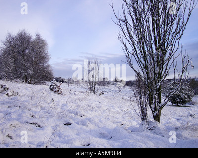 Morgen Schnee auf Parkhall Land-Park, Stoke-On-Trent, Staffordshire. Stockfoto