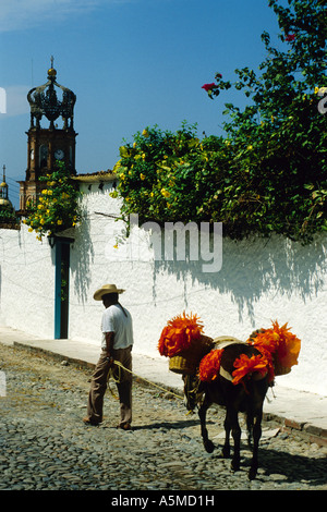 Mann mit bunt geschmückten Esel in der Nähe von Our Lady of Guadalupe Church in Puerto Vallarta, Mexiko Stockfoto