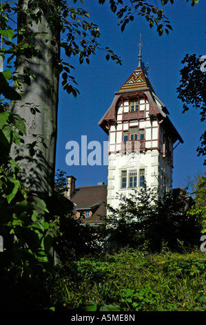 Stadt Hof, Bayern, Deutschland, Palais Theresienstein Stockfoto