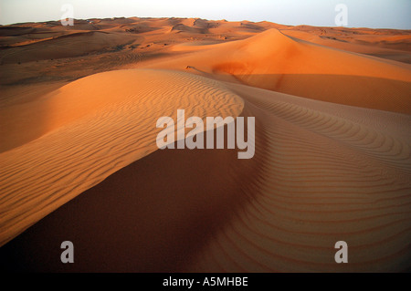 Wellen der Wüste Sand goldbraun in Farbe natürliche Dubai Dessert Safari Vereinigte Arabische Emirate VAE Naher Osten Stockfoto