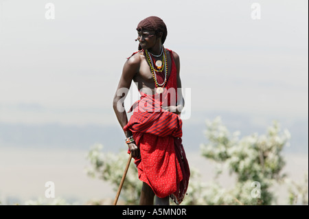 Ein Masai Tribesman in Kenia Afrika Stockfoto