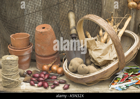 Rustikale Potting Shed Stillleben mit Gartengeräten Zwiebel setzt Schalotten Runner Bean und Saatgut Stockfoto