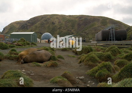 ANARESAT Kuppel für Satellitenkommunikation Anare Forschungsstation Macquarie Island Stockfoto