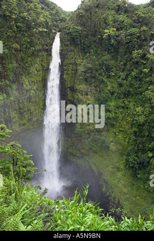 Akaka Falls und die Felswände Stockfoto