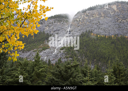 Intermittierende Wasserfall mit Aspen: ein kleines Rinnsal Wasser bahnt sich ihren Weg aus dem Nebel oben auf der Seite von einem großen grauen Felsen Stockfoto