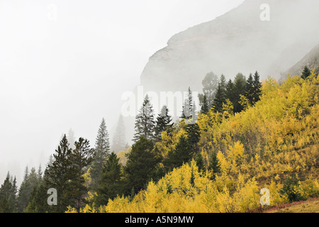 Verschwindende Landschaft Stockfoto