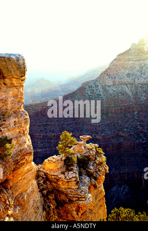 Grand Canyon Sunrise leuchtet die vielschichtigen Klippen des Grand Canyon Stockfoto