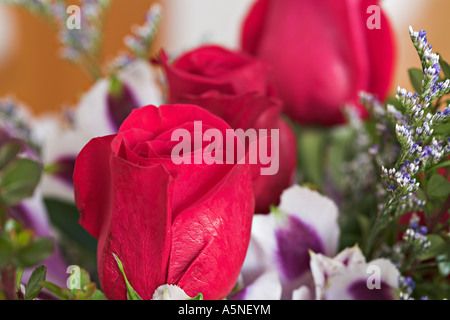 Bouquet mit drei Rosen stieg Knospen, umgeben von anderen Blumen in einem Floristen Arrangement Ottawa Ontario Kanada Stockfoto