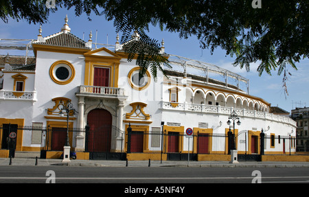 Die Stierkampfarena in Sevilla Stockfoto